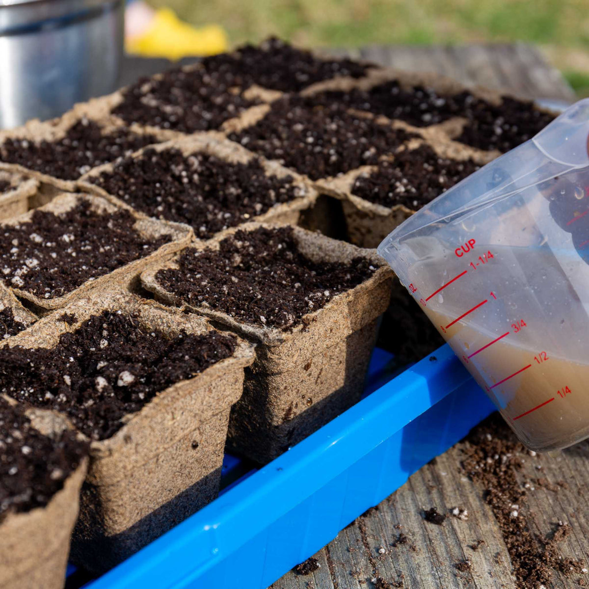 watering 3" square pots in 1020 deep tray