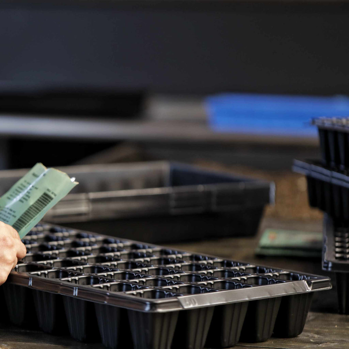 50 cell plug tray in use