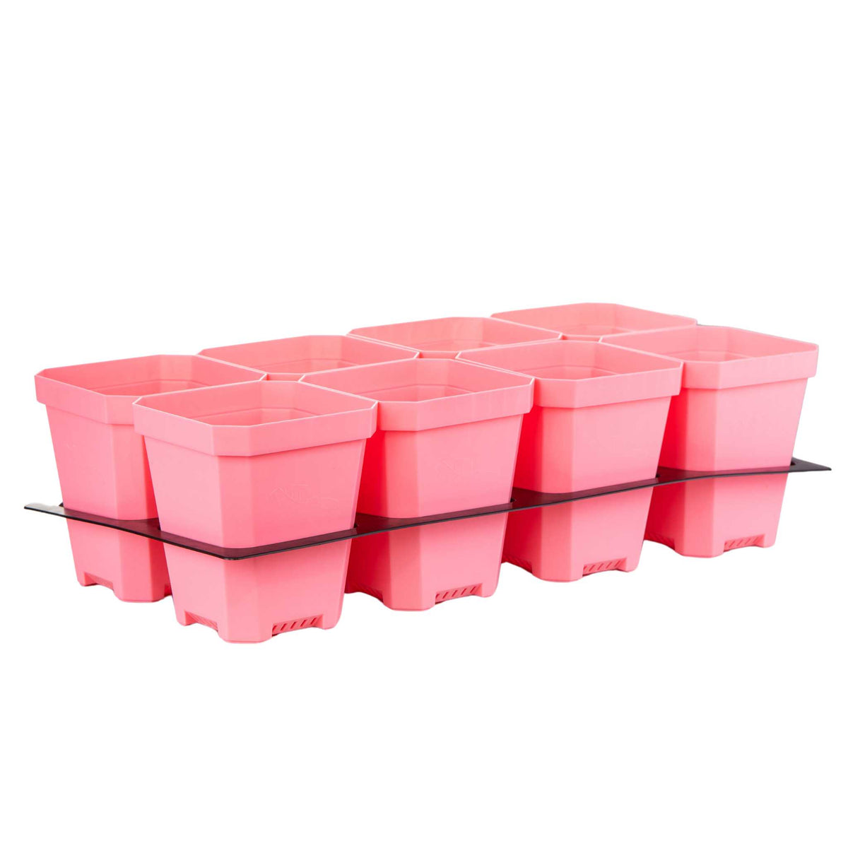 pink 5" pots with insert