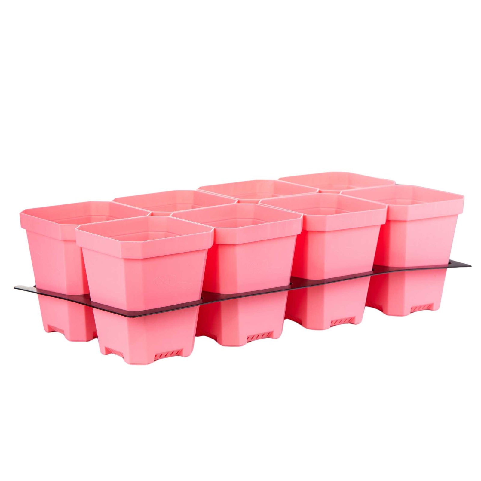 pink 5" pots with insert
