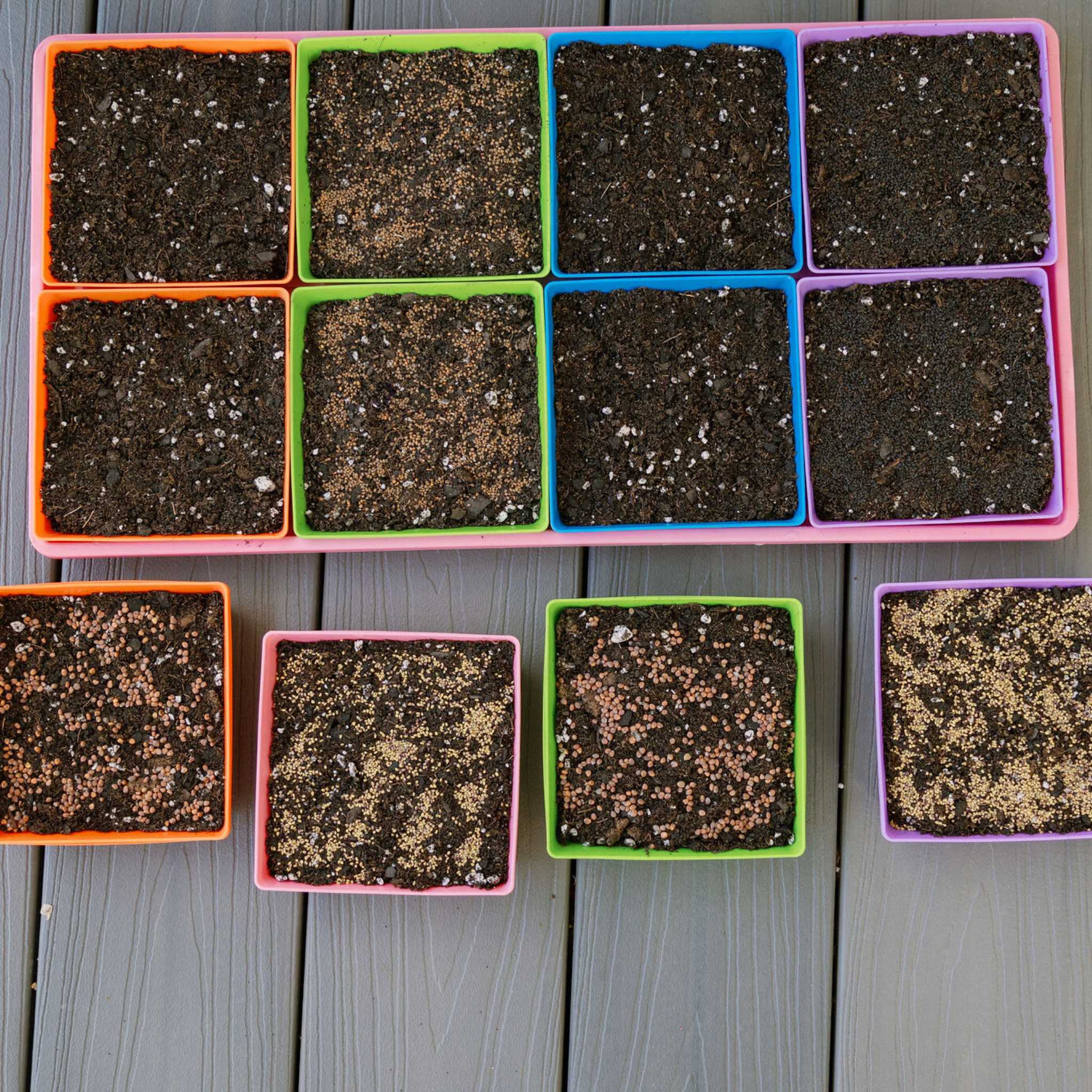 18+ 5X5 Shallow Microgreen Trays Reviews 5x5 Shallow Microgreen Trays | Extra-Strength, USA-Made - Bootstrap Farmer
