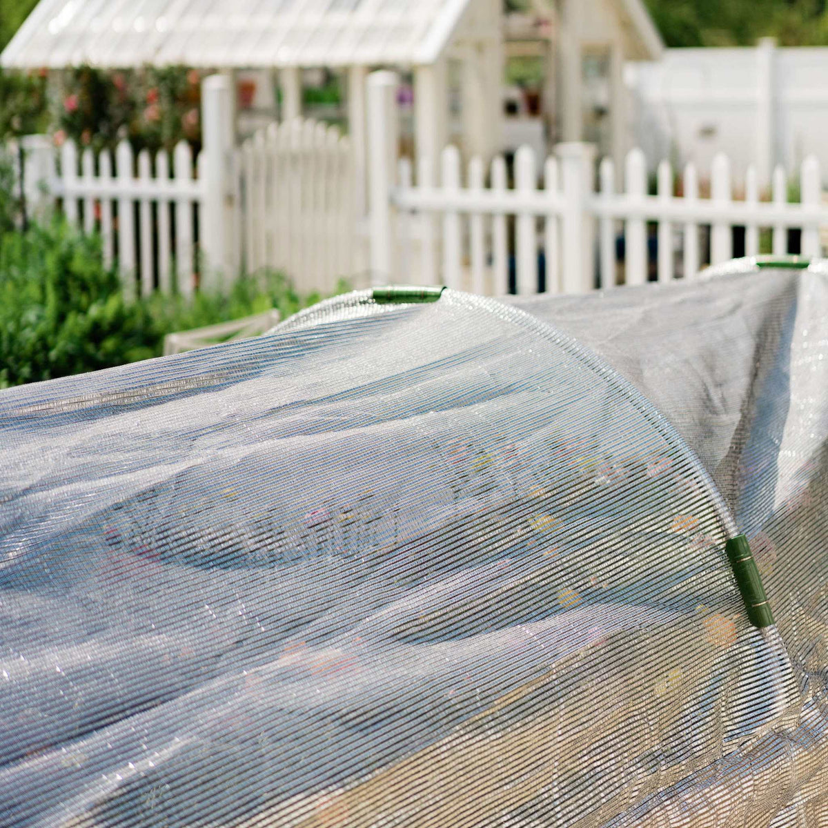 Aluminum Shade cloth over a low tunnel