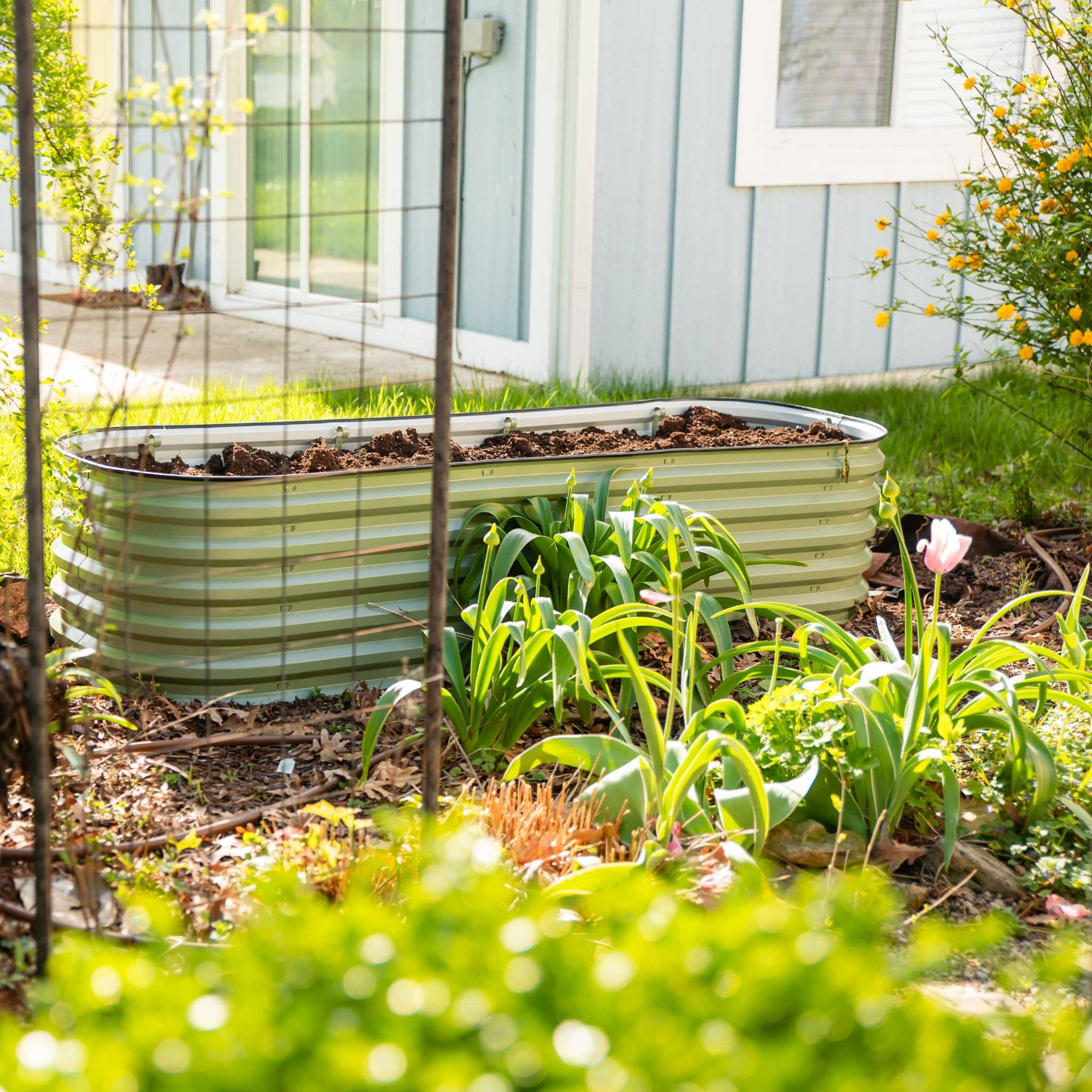 Indoor Herb Garden Rust Grow, Raised Bed, Garden Bed, Galvanised Sheet Steel,  Rust Finish Bed Sheet Grippers, image size:2000x2000