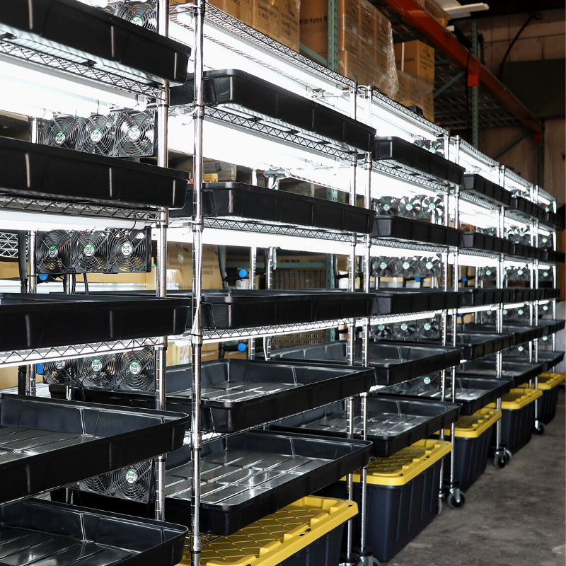 Automated grow rack