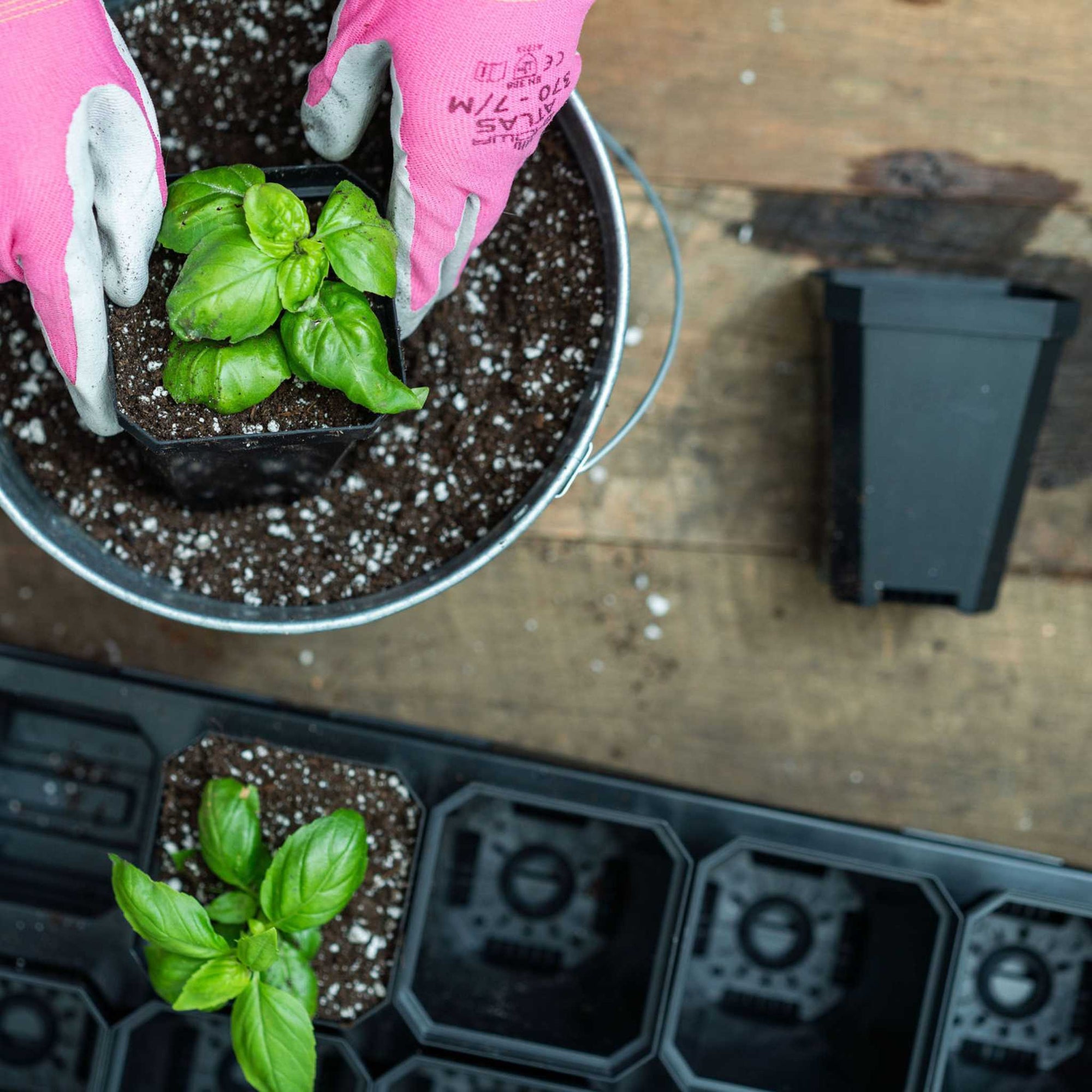 pot inserts for plants 3.3" Heavy Duty Seed Starting Pots with Inserts Multicolor / 90 Pots - 5 Inserts