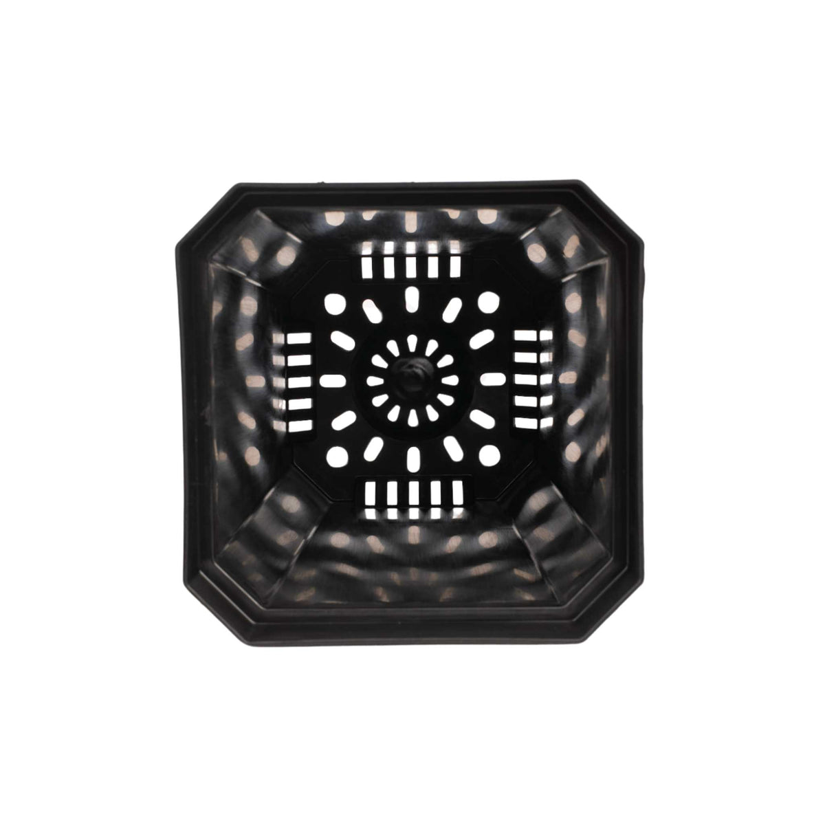 inside view 5" black nursery pot