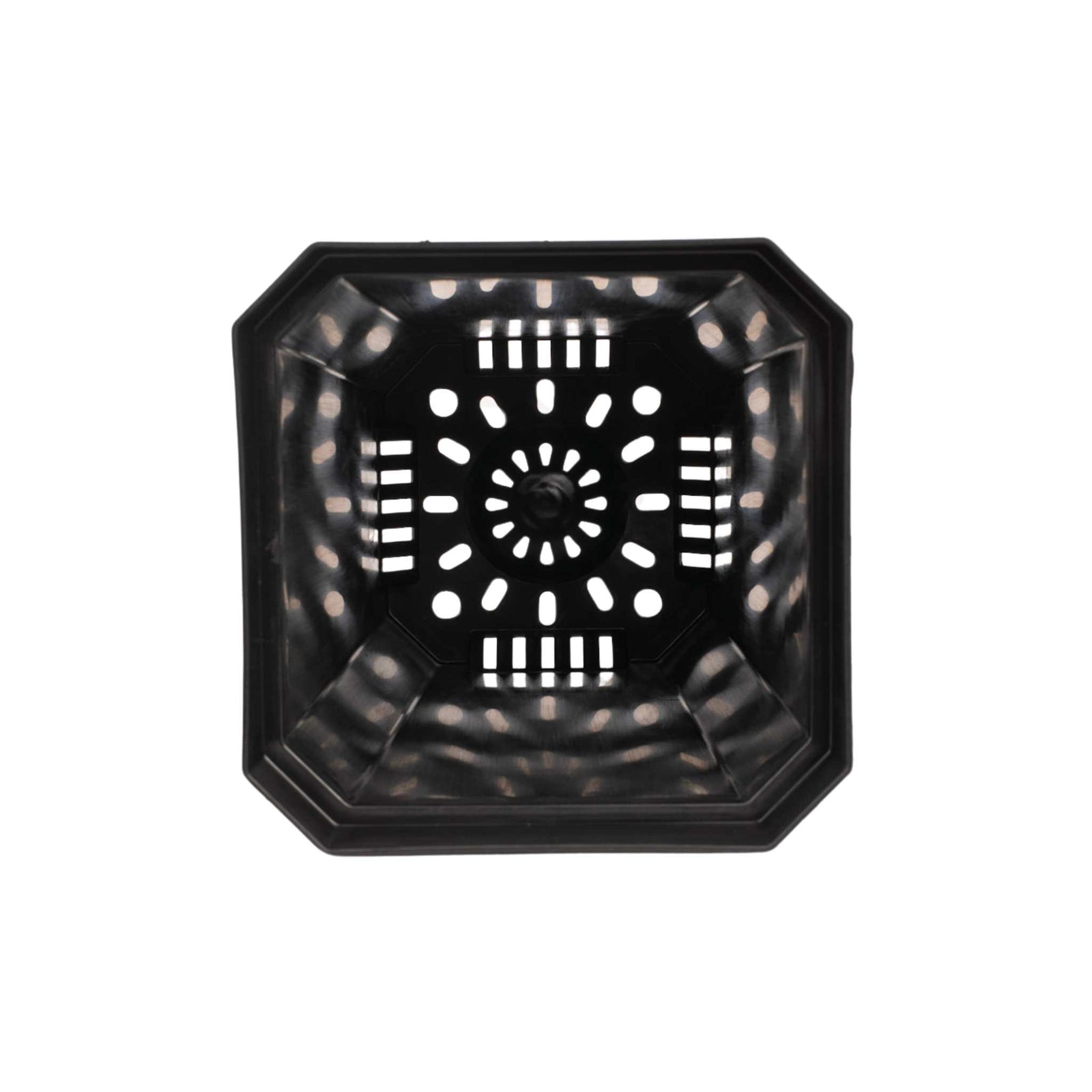 inside view 5" black nursery pot