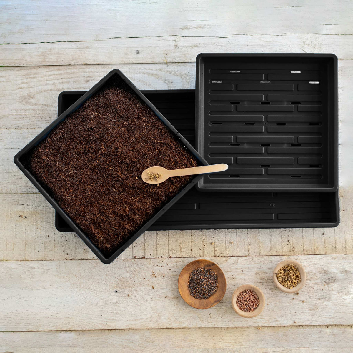 1010 black microgreens kit in use