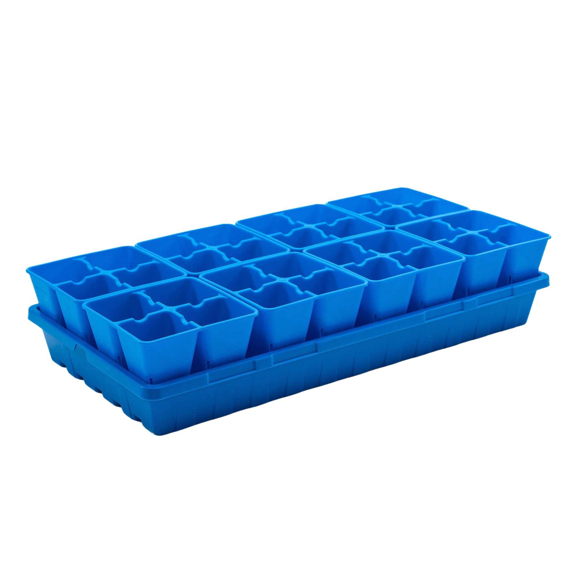 Blue 4 Cells in a 1020 Blue Tray