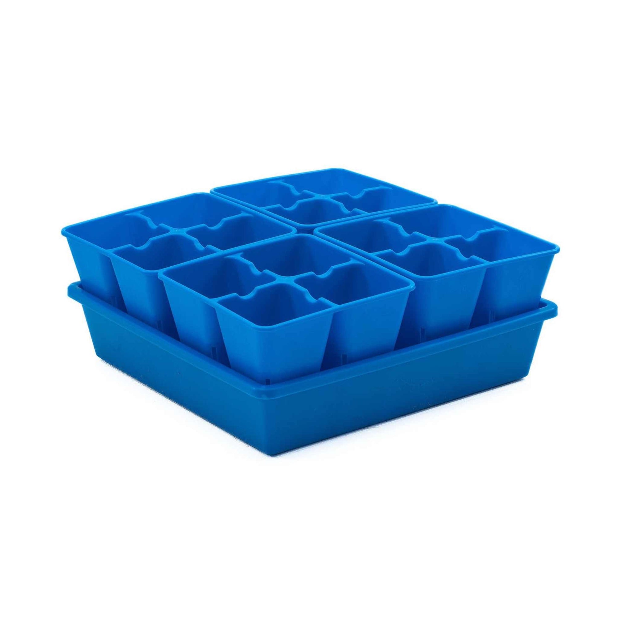 Blue 4 Cells in 1010 Tray