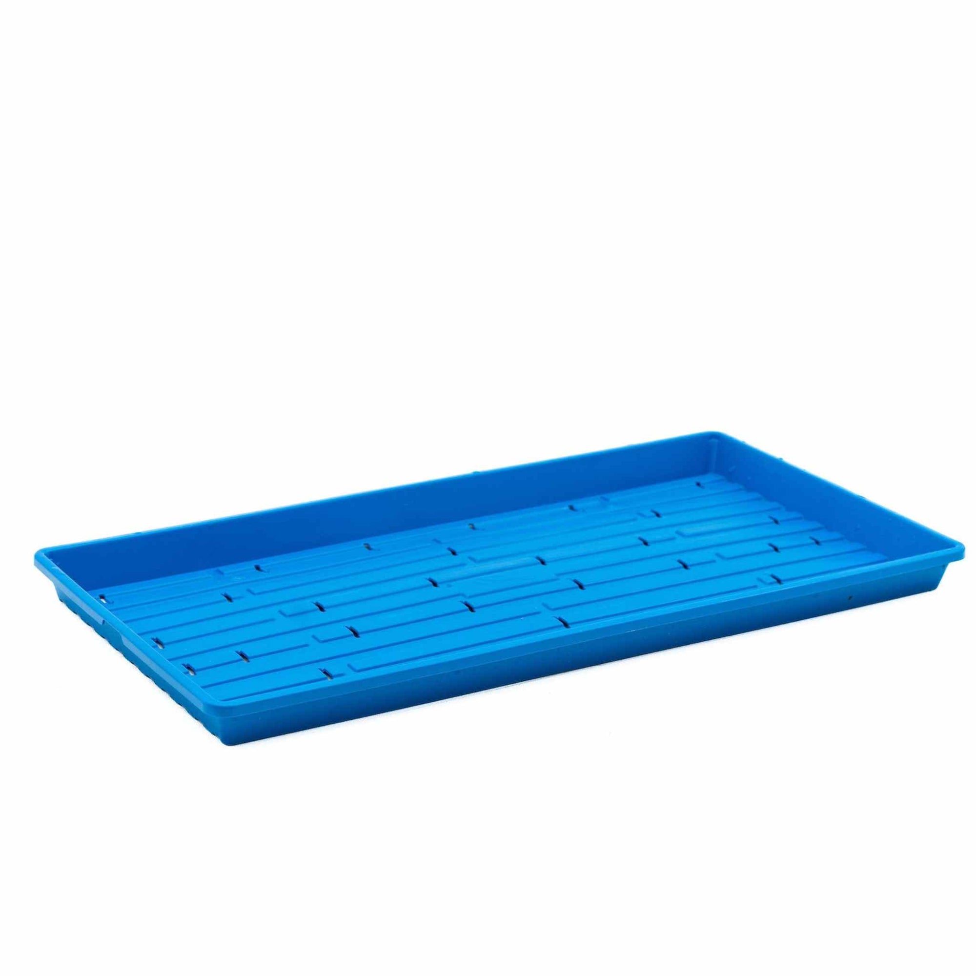 Blue Microgreen Tray with Holes