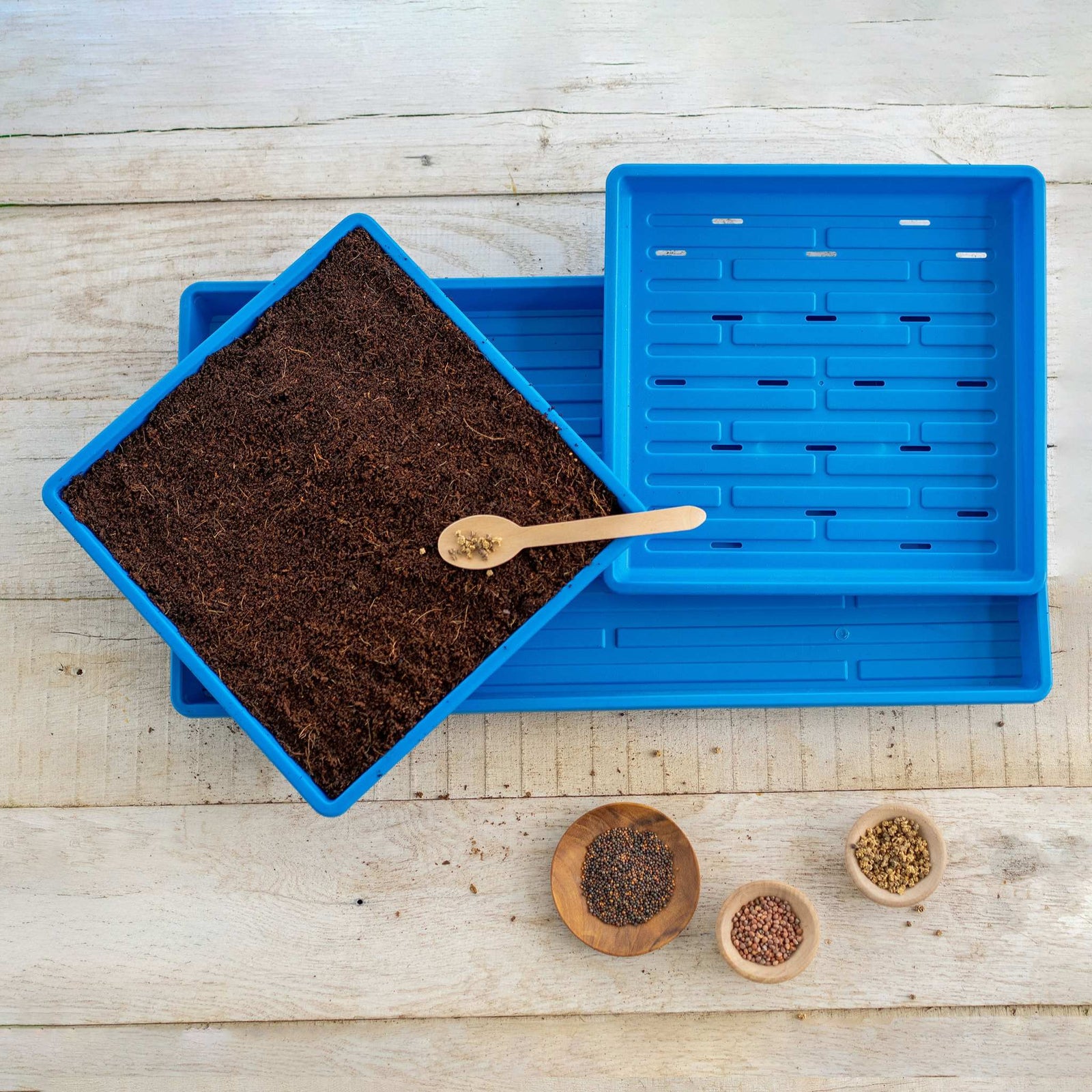Blue 1010 microgreens kit in use