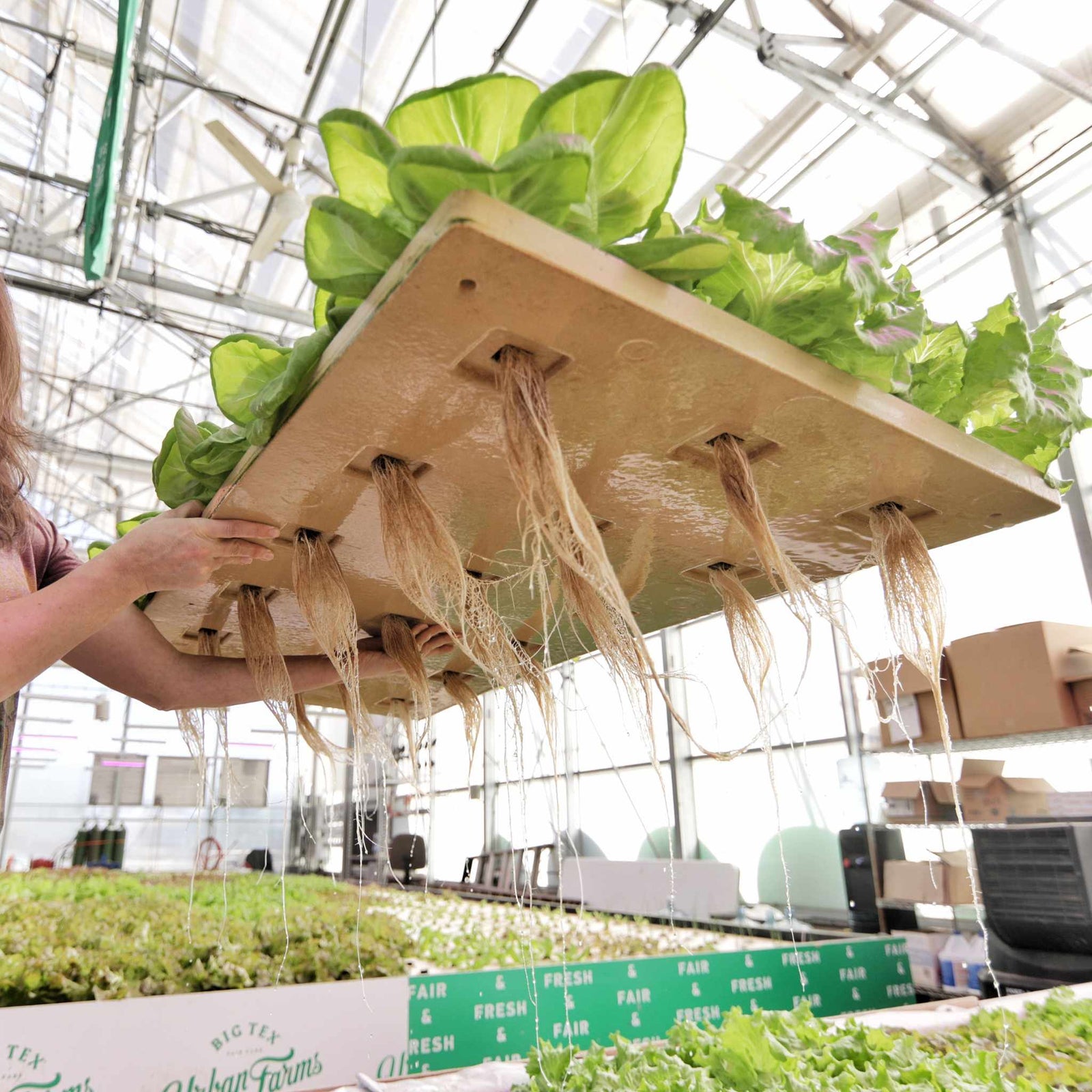 DWC Raft lifted up to show bottom 