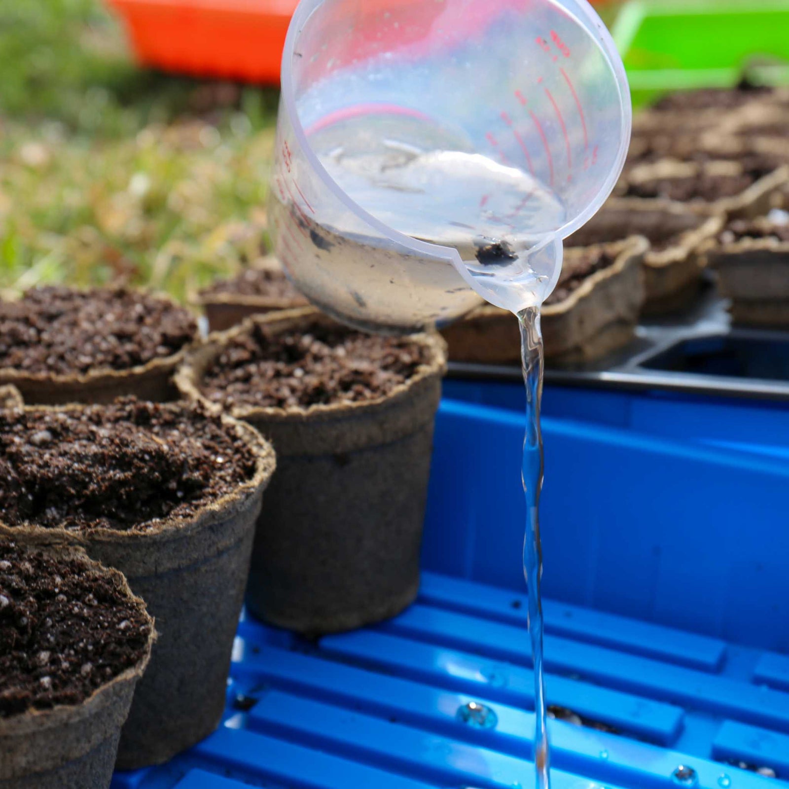 bottom watering 3" round Cowpots