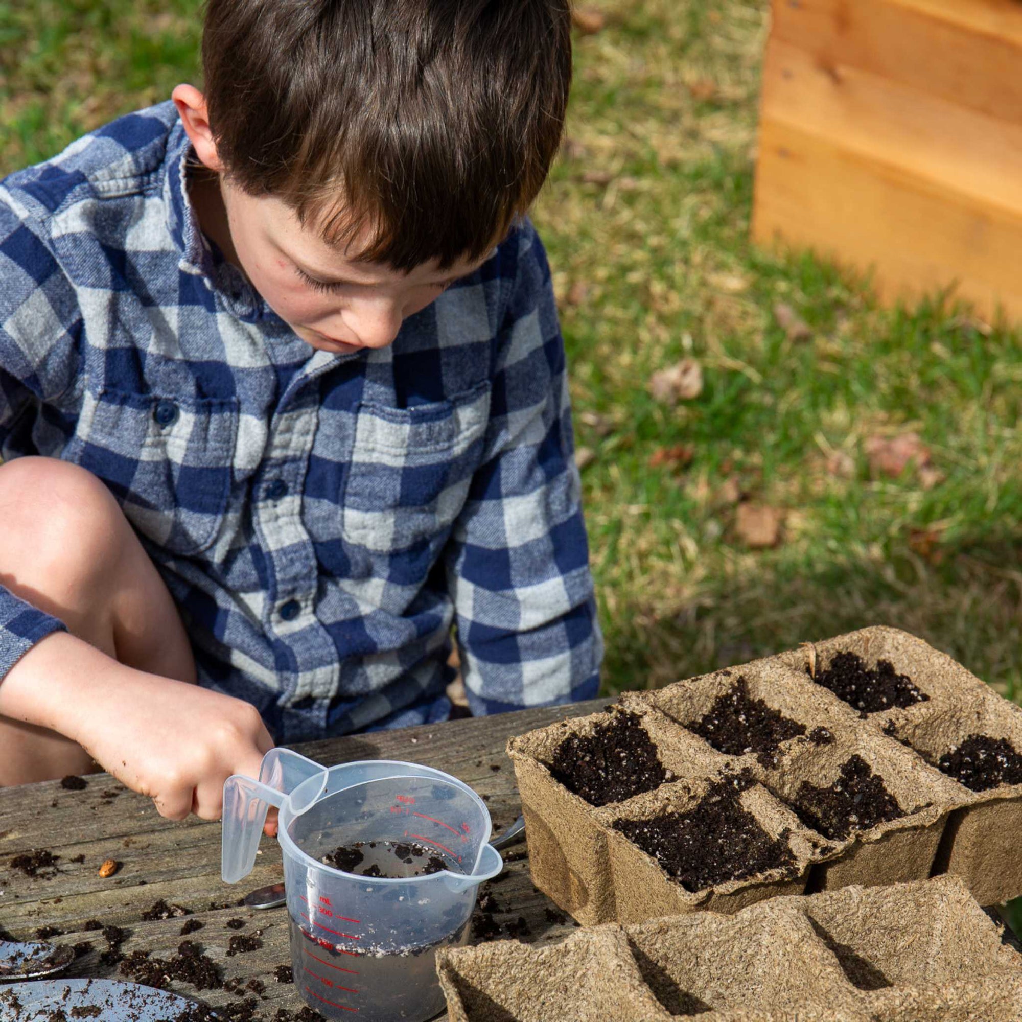 child starting garden seeds in 6 cell cowpot