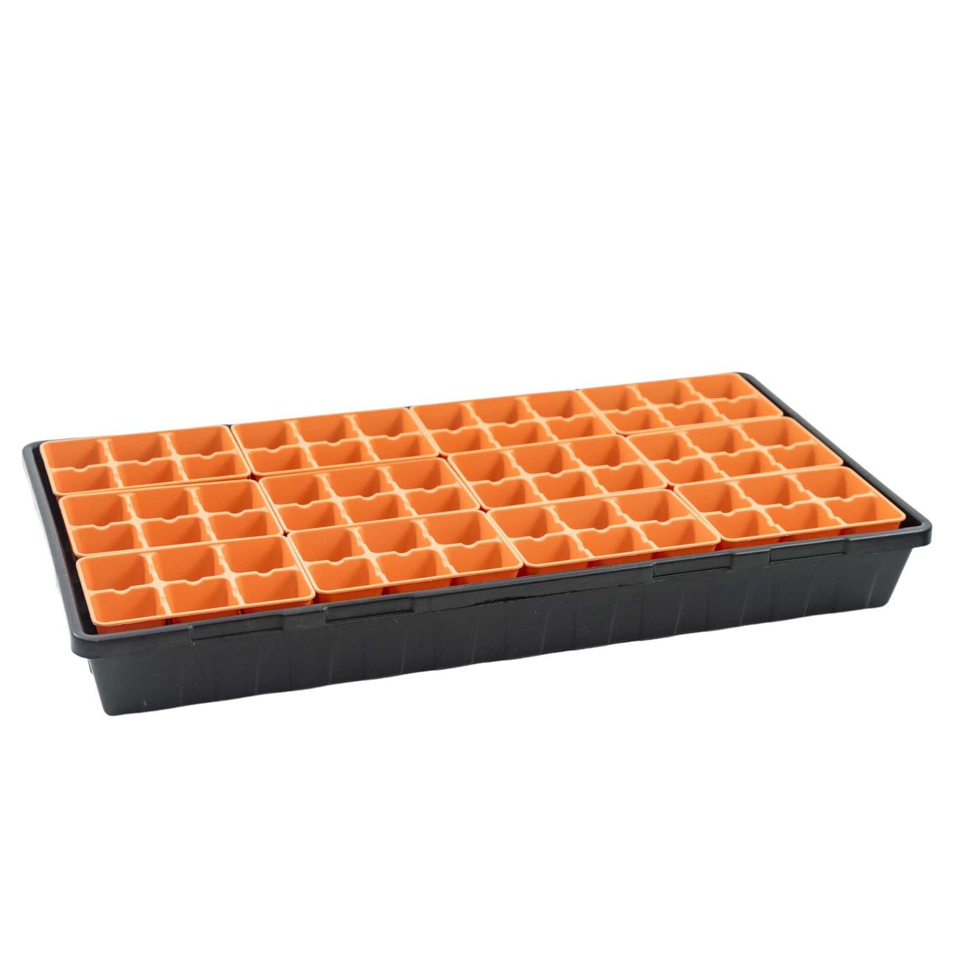 Chrysanthemum 6 cell trays in a 1020 black 2.5" tray
