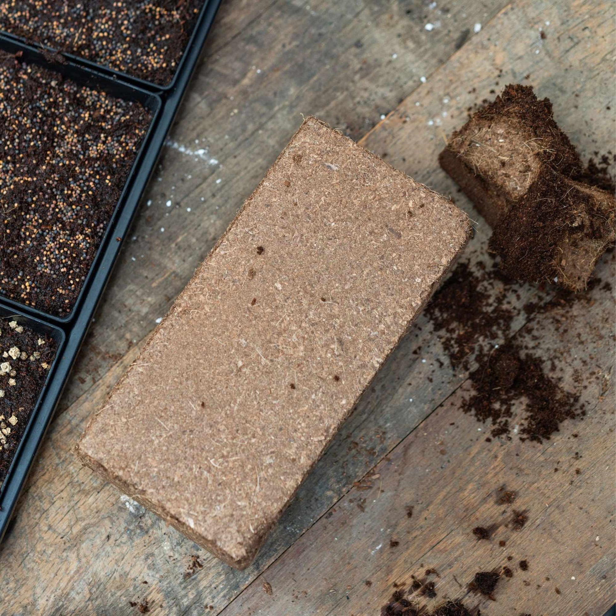Coco coir brick off center to tray of 5 x 5's filled with prepared coco coir and planted with microgreen seeds.