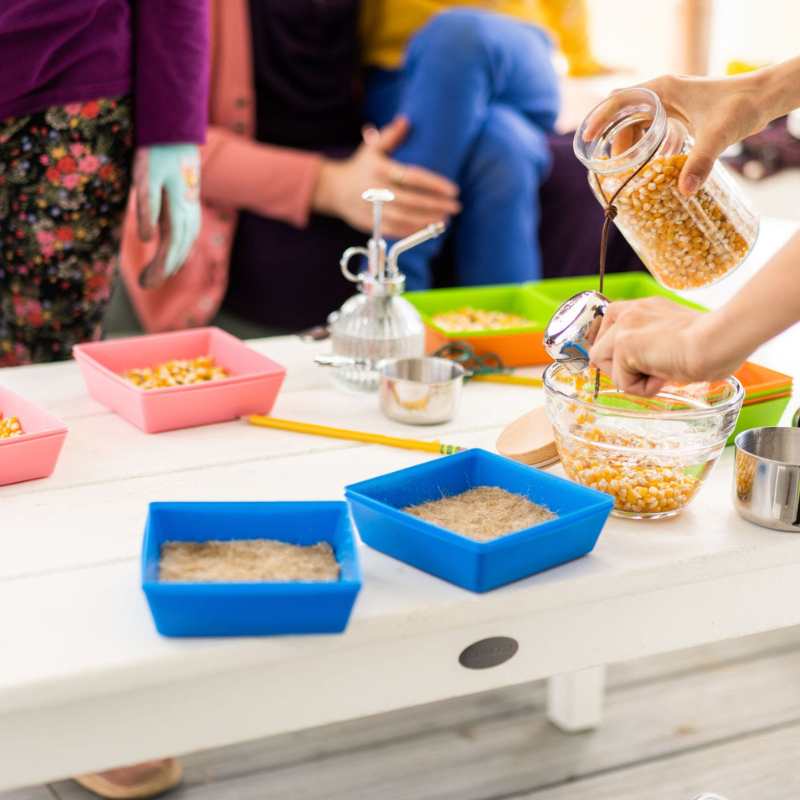 Growing Activities for Kids