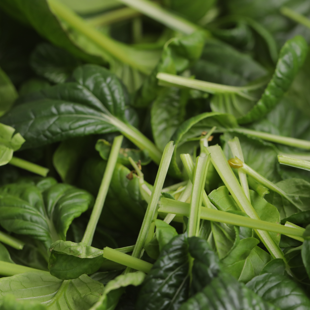 Custom Salad Mix grown hydroponically for sale to chefs and restaurants