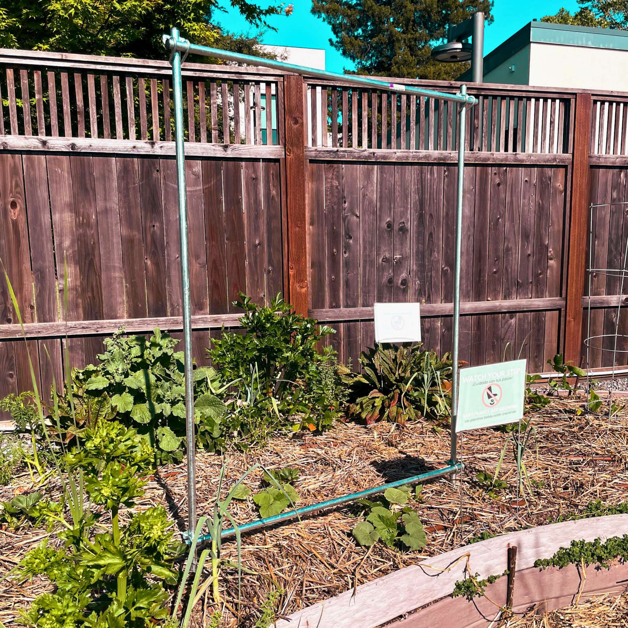 DIY Vine Trellis (D#NMMZSC8)