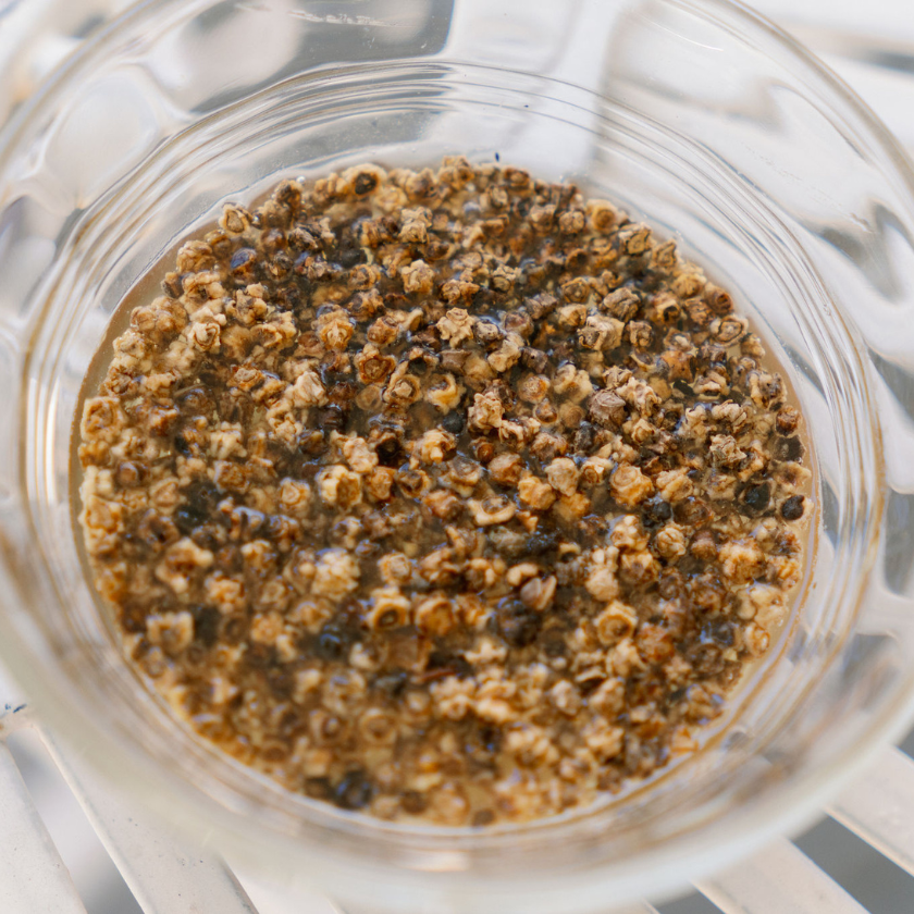 soaking beet seeds for microgreens and disinfecting them