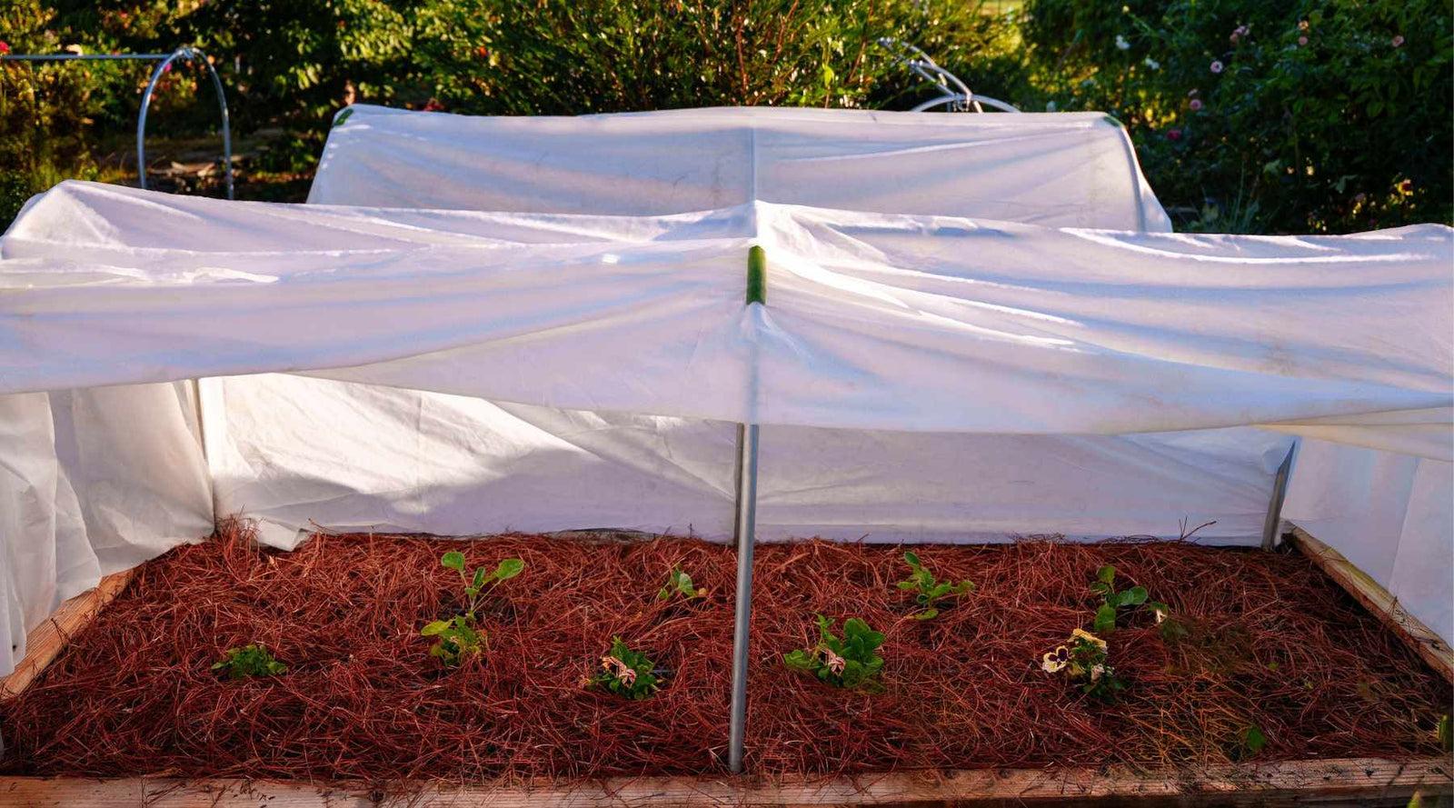 diy low tunnel over raised bed