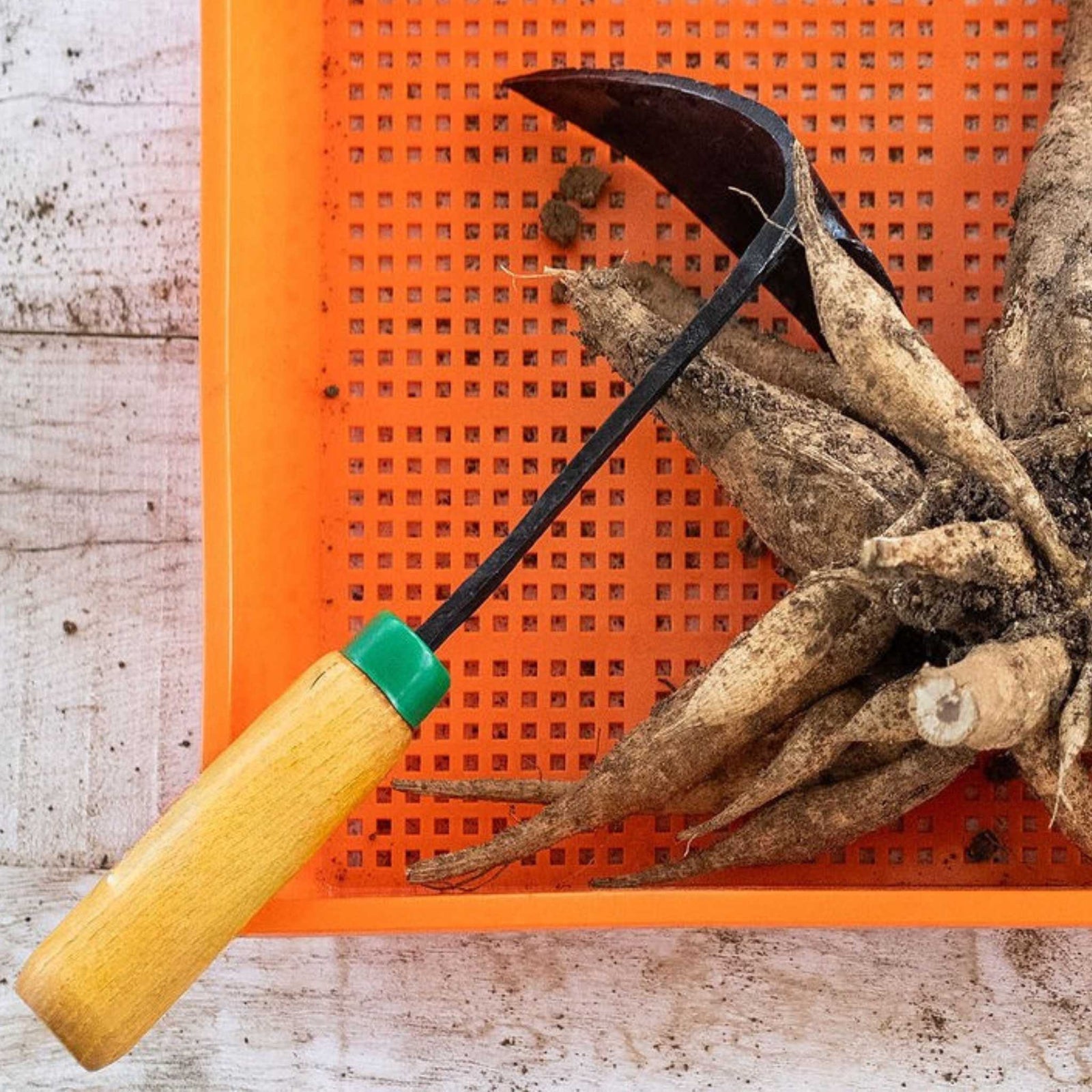 ez digger short handle tool