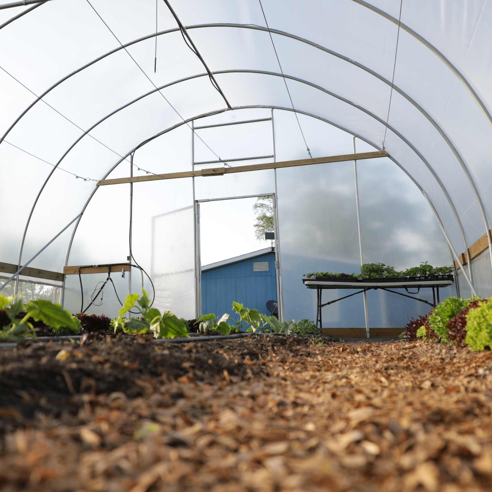 Essential round high tunnel kit on farm