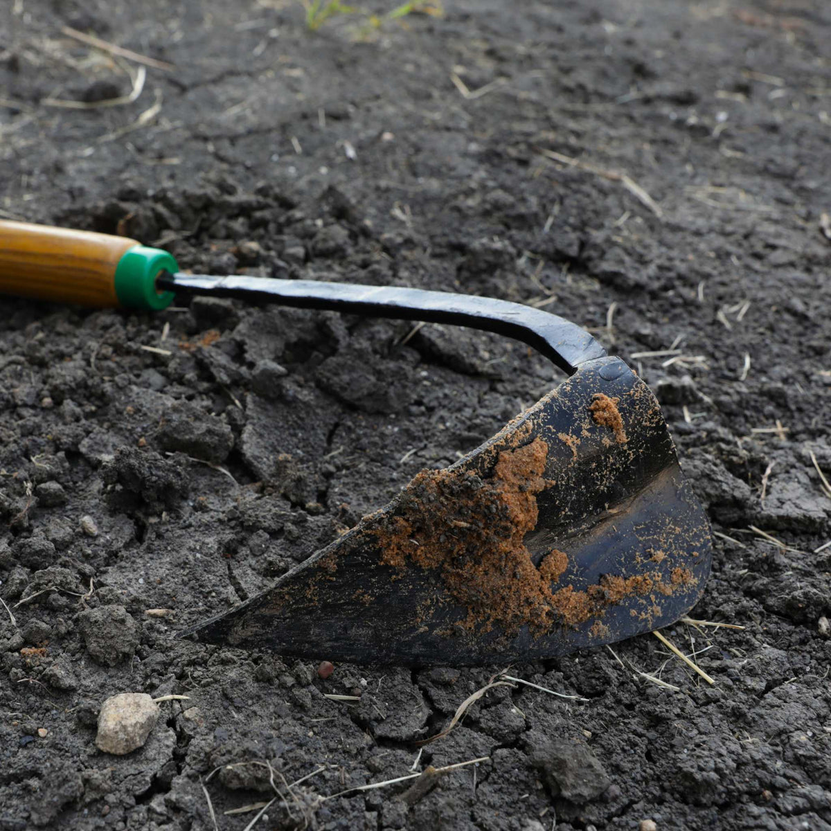 Ez-Digger Korean Triangle Blade | Short Handle in dirt