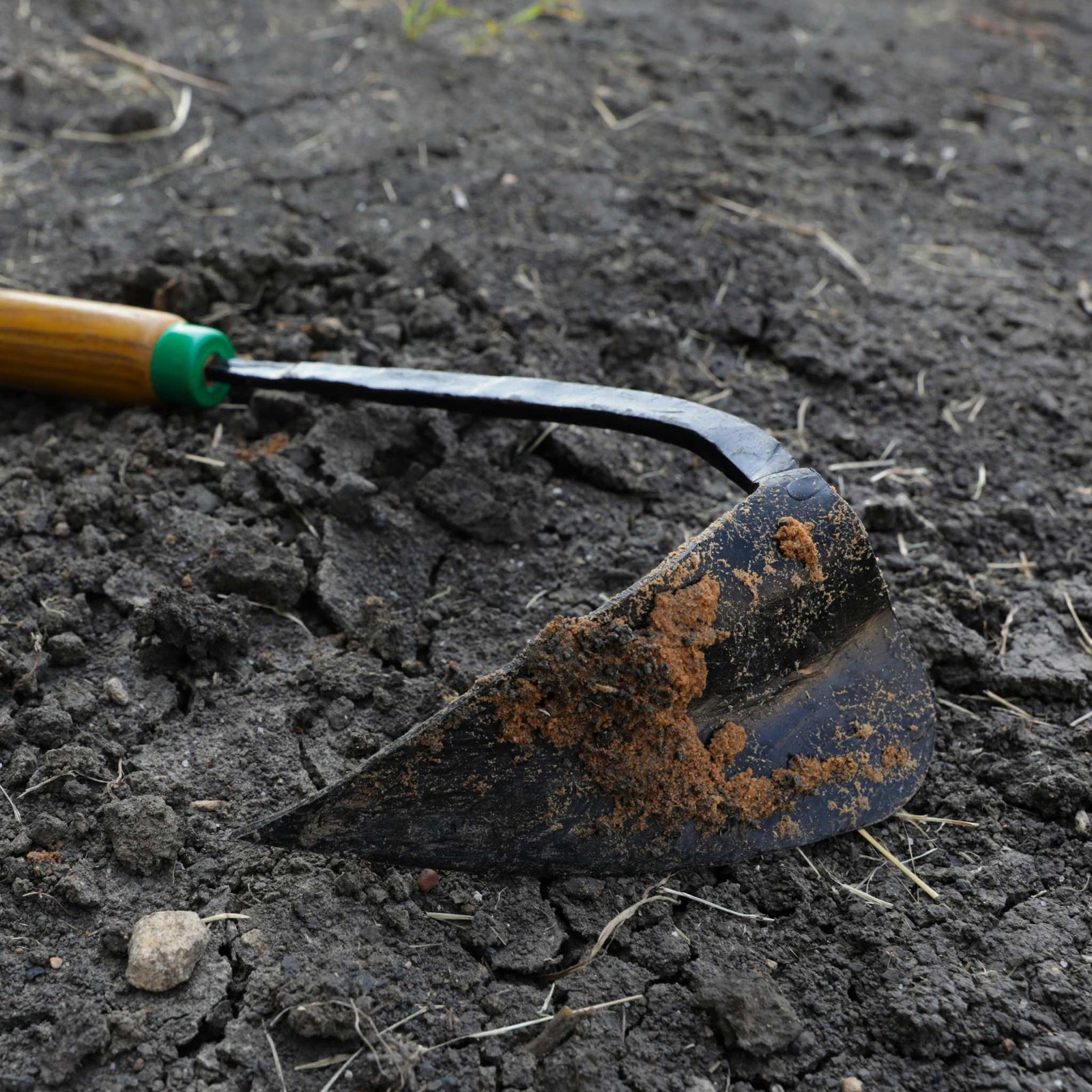 Ez-Digger Korean Triangle Blade | Short Handle in dirt