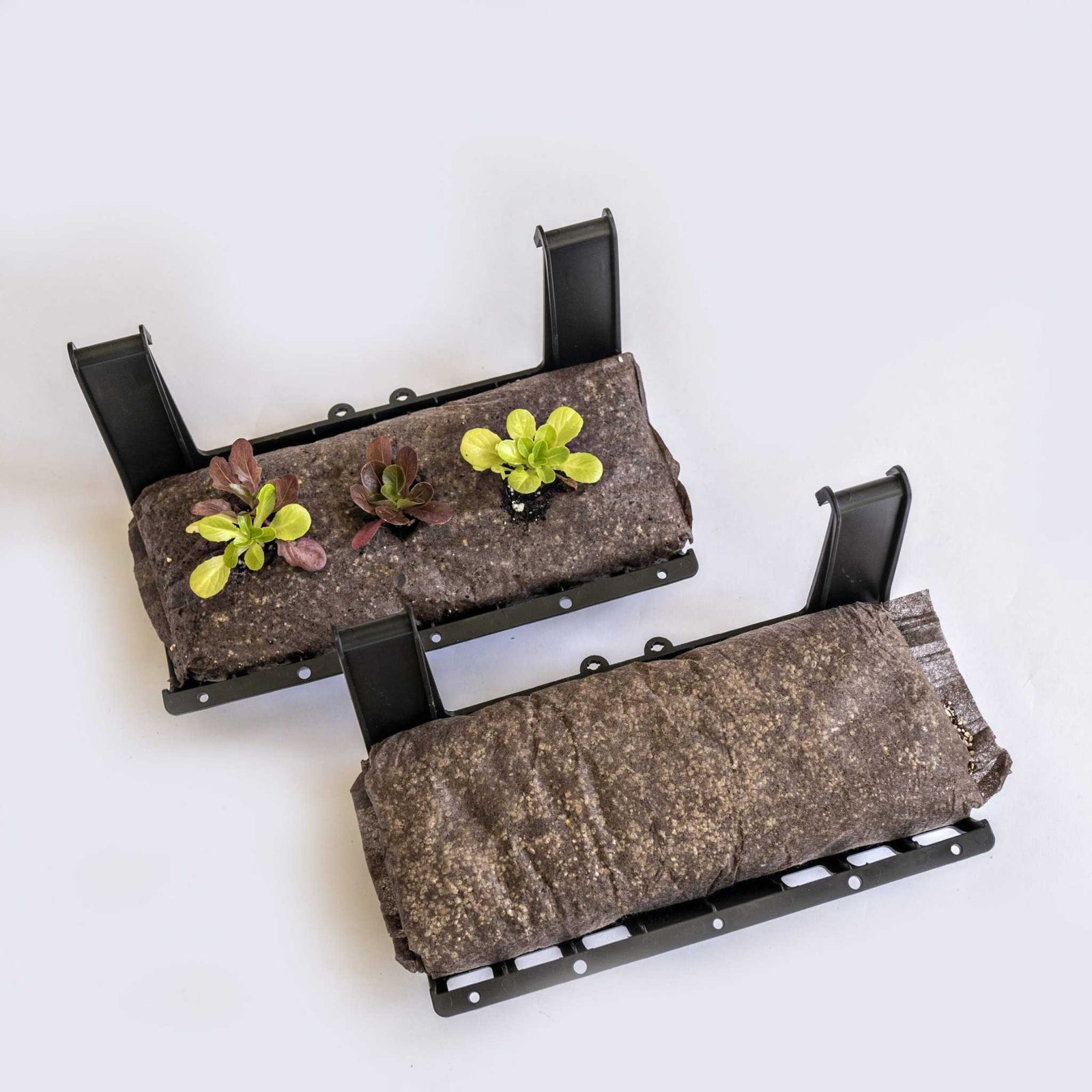Filled Ellepot Pouches for Vertical Gardens in trays