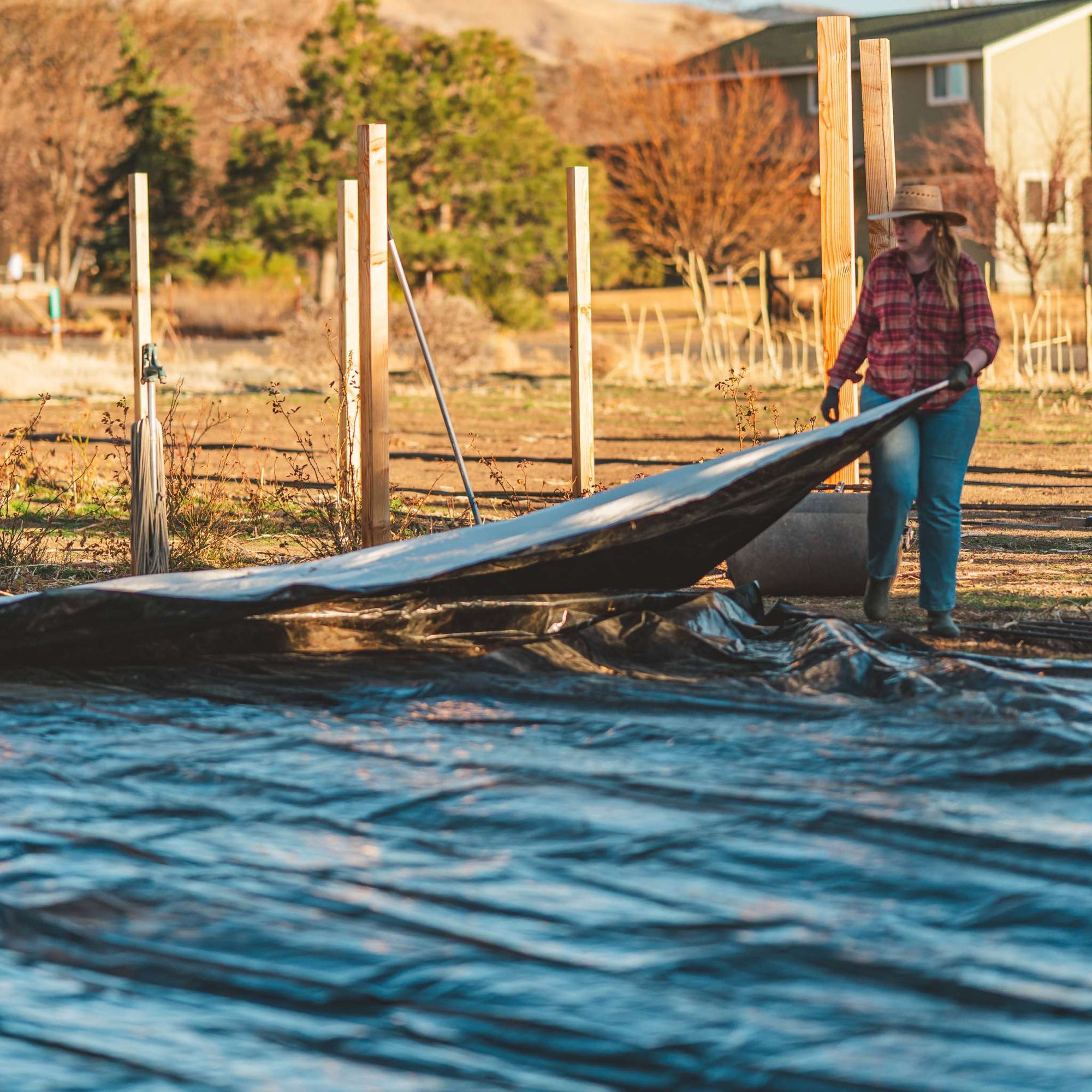 Flower Farmer laying out silage tarp for weed control on the farm