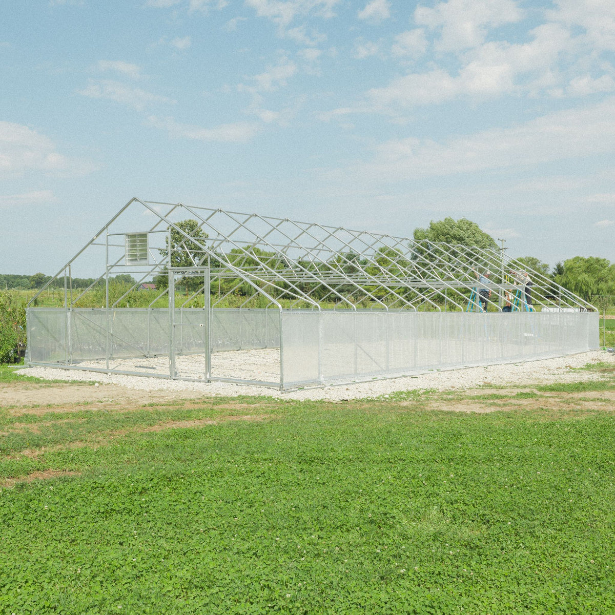 derecho gothic with insect netting attached