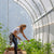 Gothic High Tunnel Greenhouse with Woman watering peppers