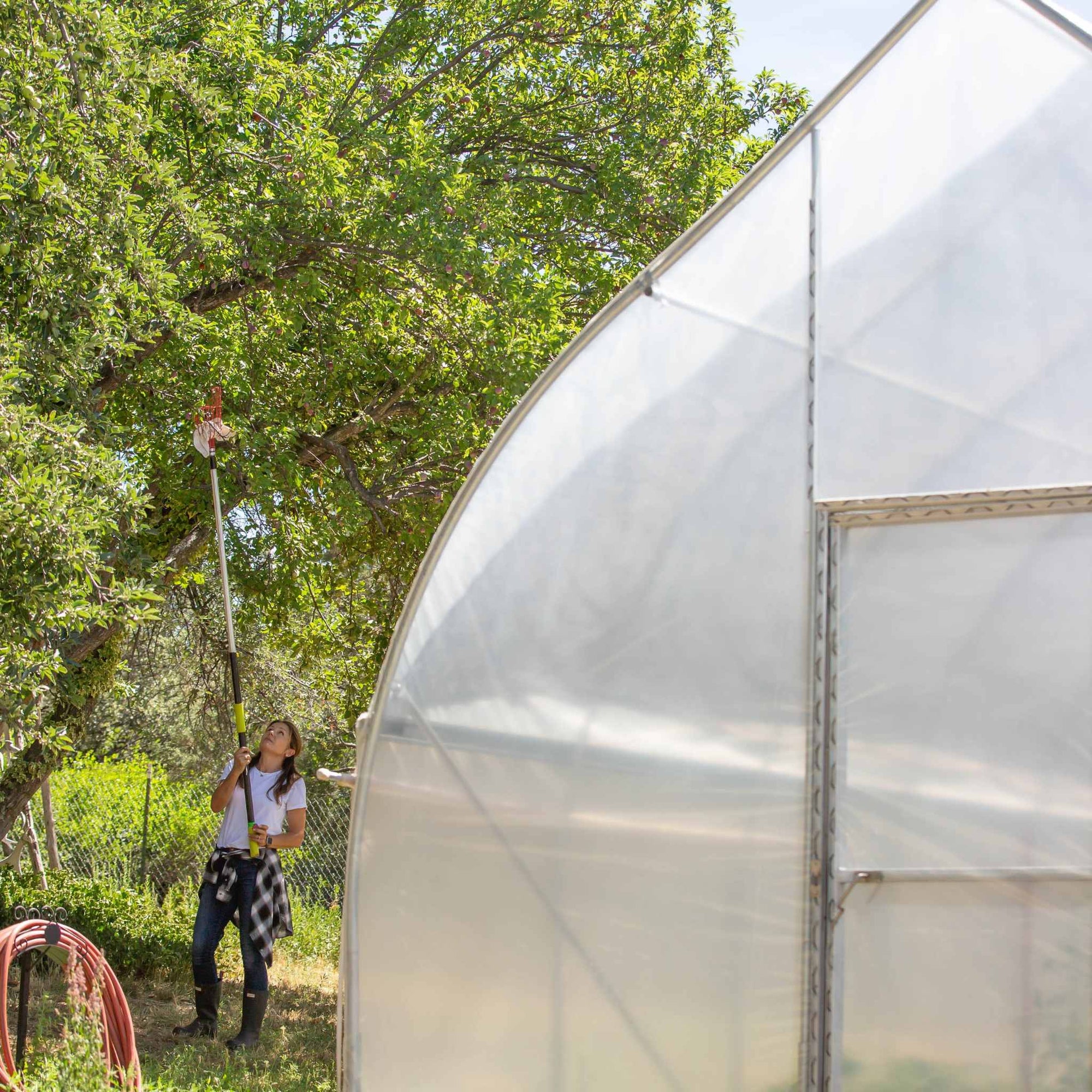 Gothic High Tunnel Hoop House in Backyard with woman picking apples