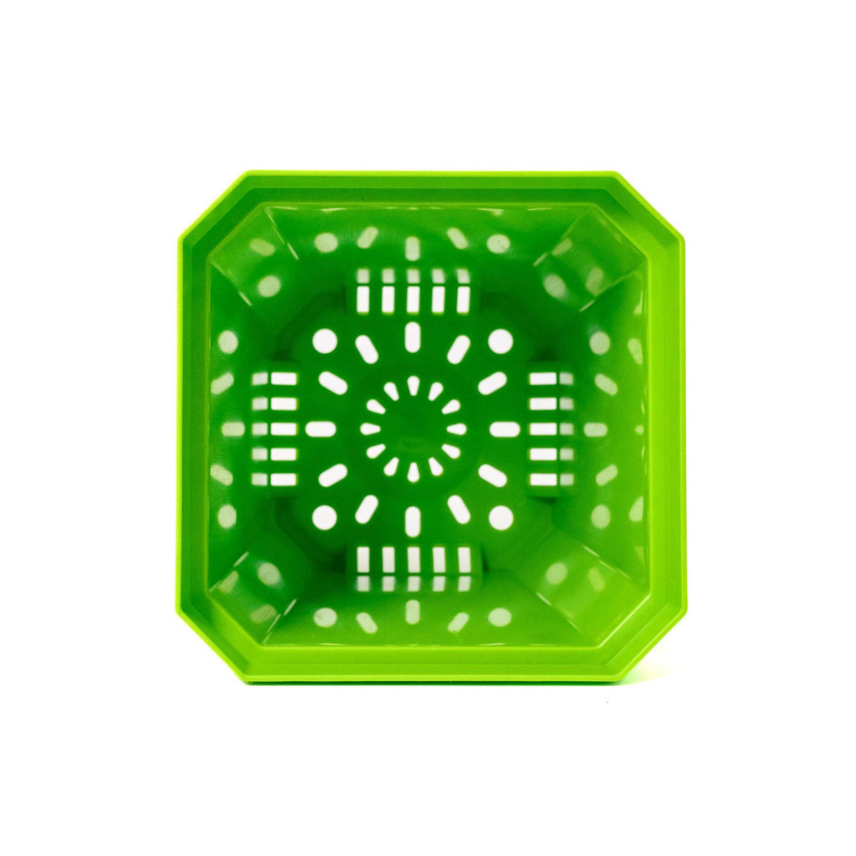 Inside view 5" green nursery pot