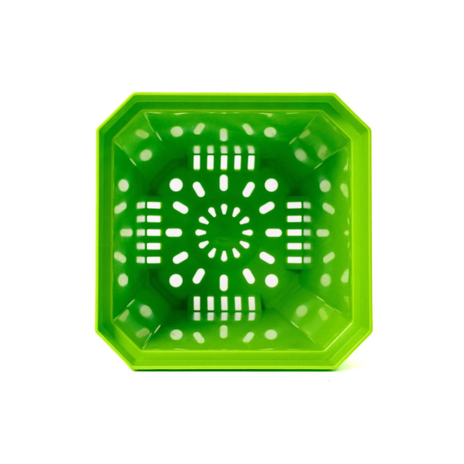 Inside view 5" green nursery pot