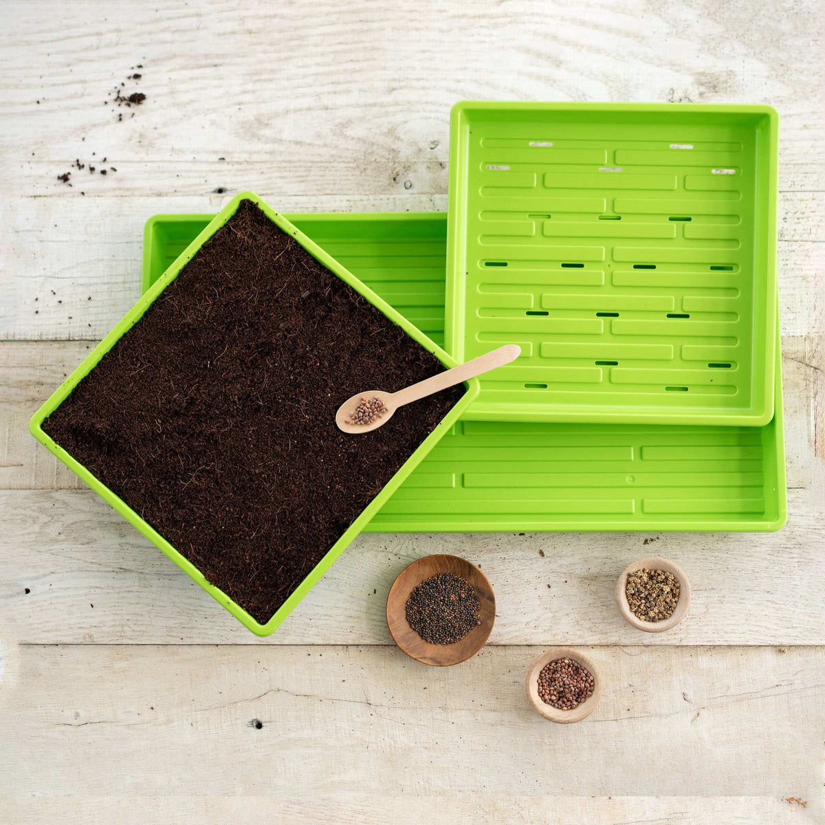 green 1010 microgreens kit in use