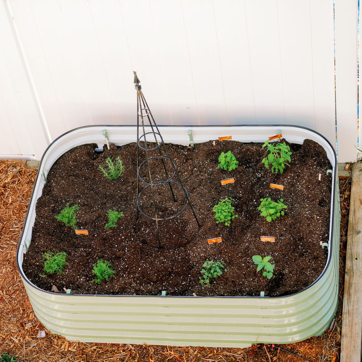raised bed planted for herb tea garden
