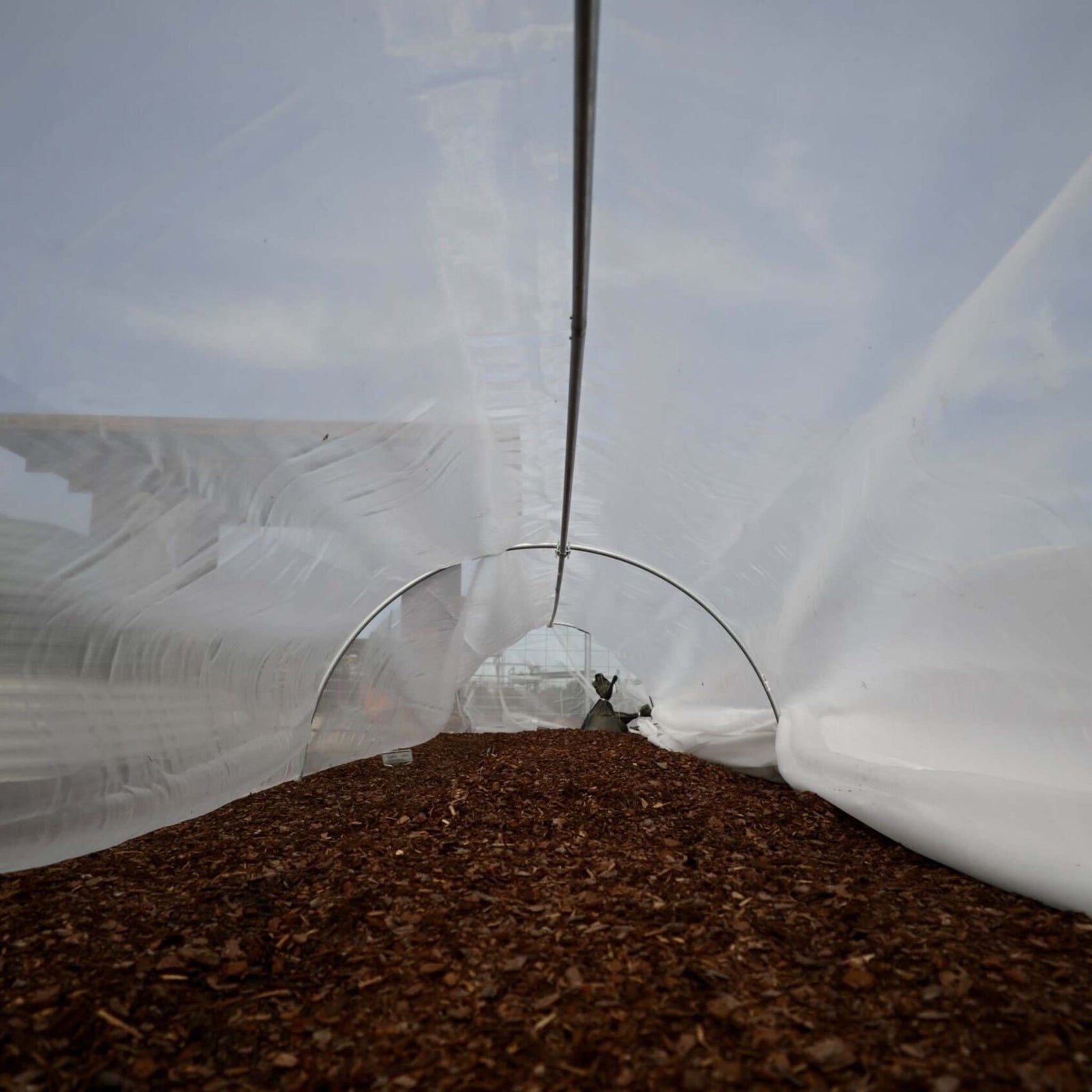 Heavy Duty insect netting over diy low tunnel