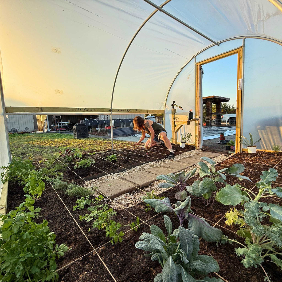 Grower using square foot gardening techniques to grow more food in a 120 sq ft covered space with the hobby greenhouse kit.