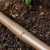 Up close drip Irrigation