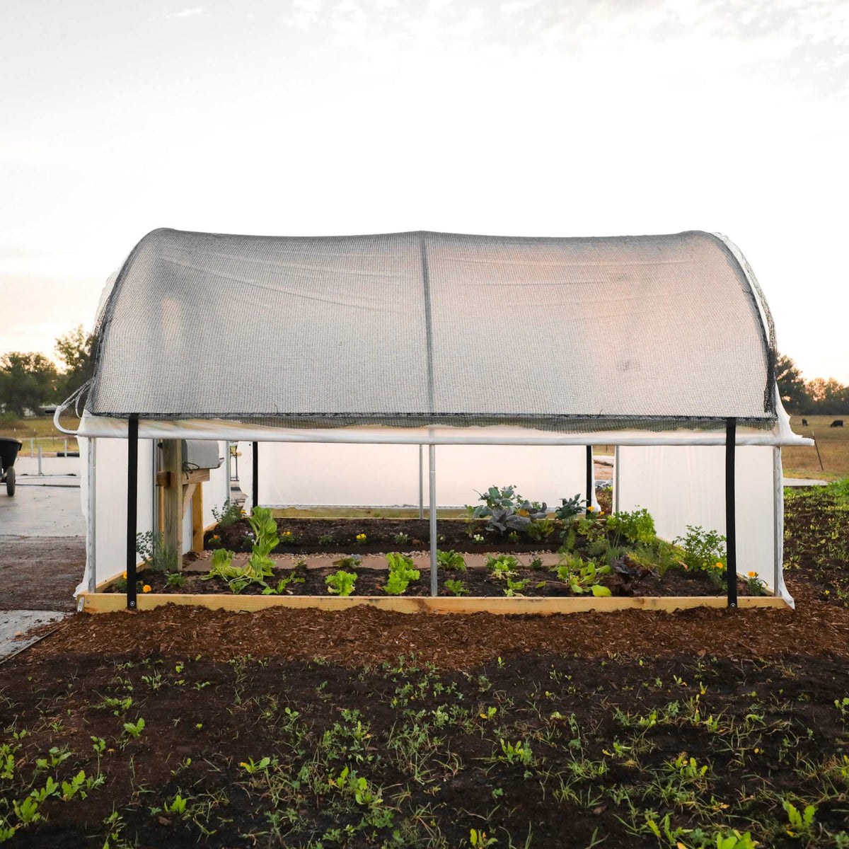 Rollup Sides for Hobby Greenhouse Kit