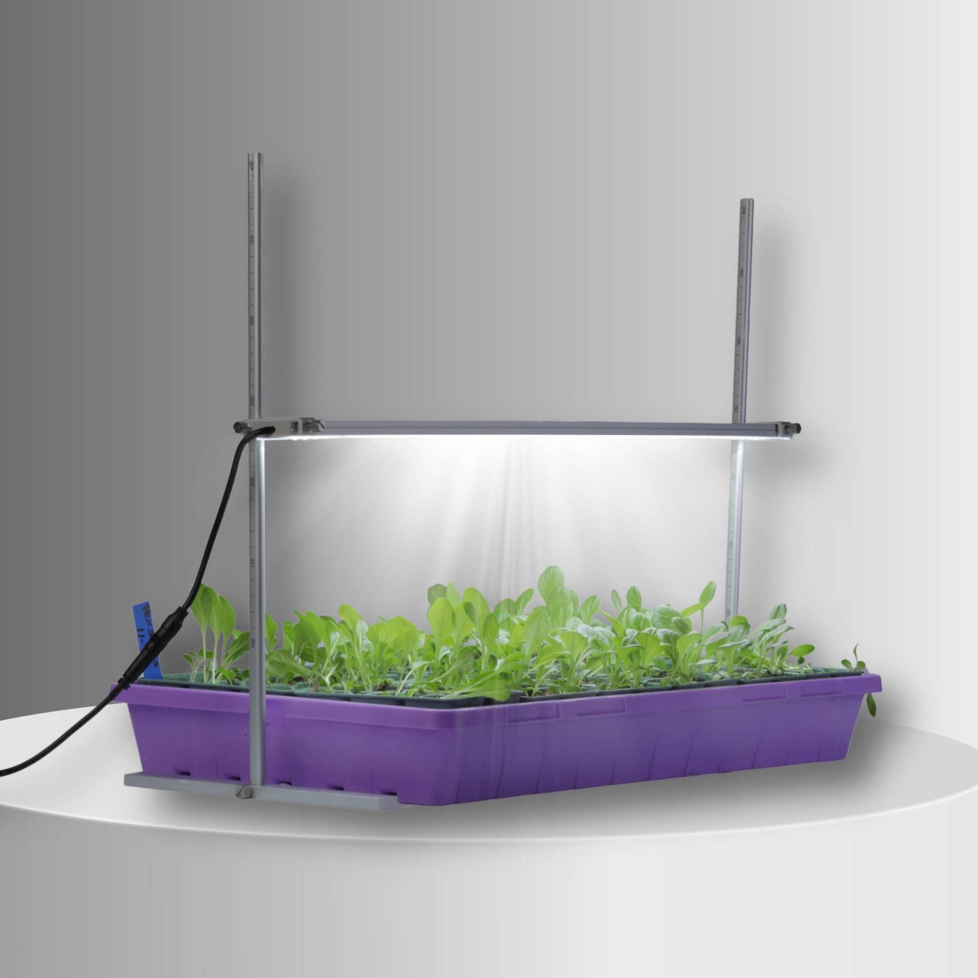 grow light height above plants 2 FT LED Grow Light with Stand