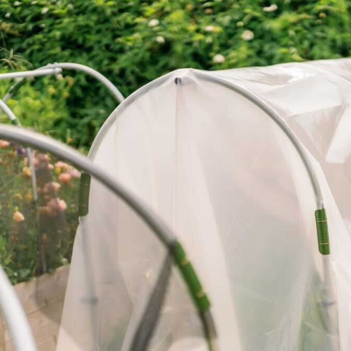 Portable Low tunnel with greenhouse plastic and snap clamps