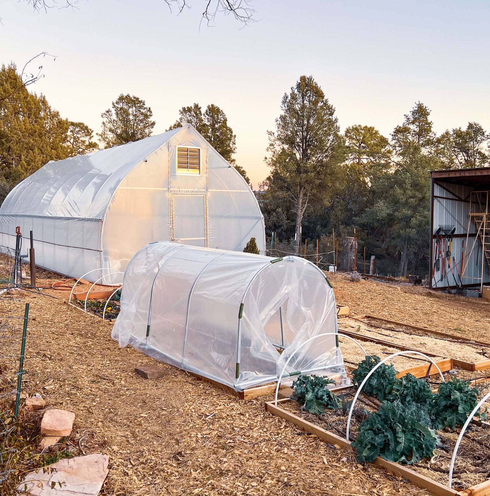 Low tunnel on a homestead with greenhouse plastic covering cool crops