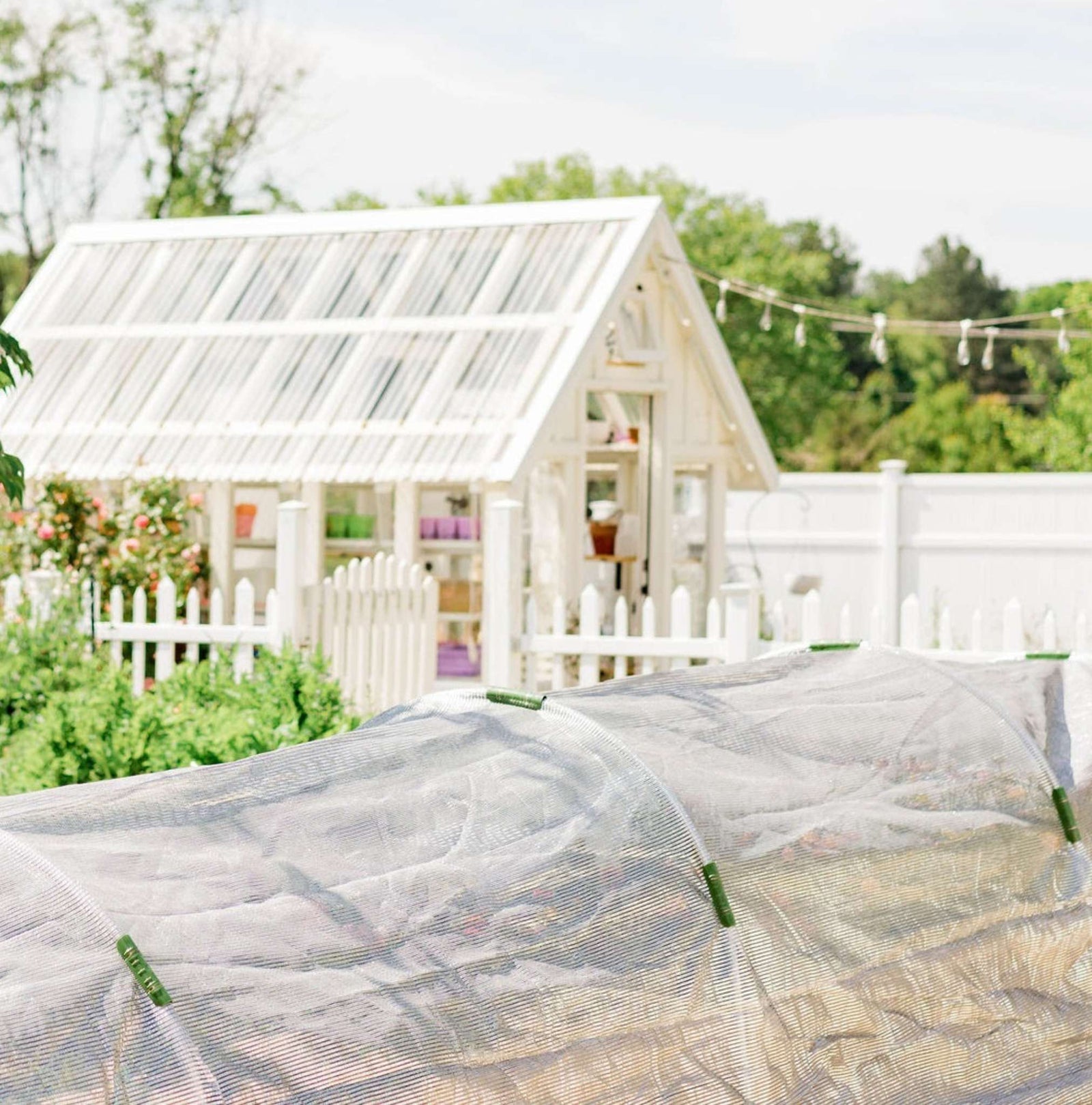 Low tunnel protecting spring flowers with aluminum shade cloth