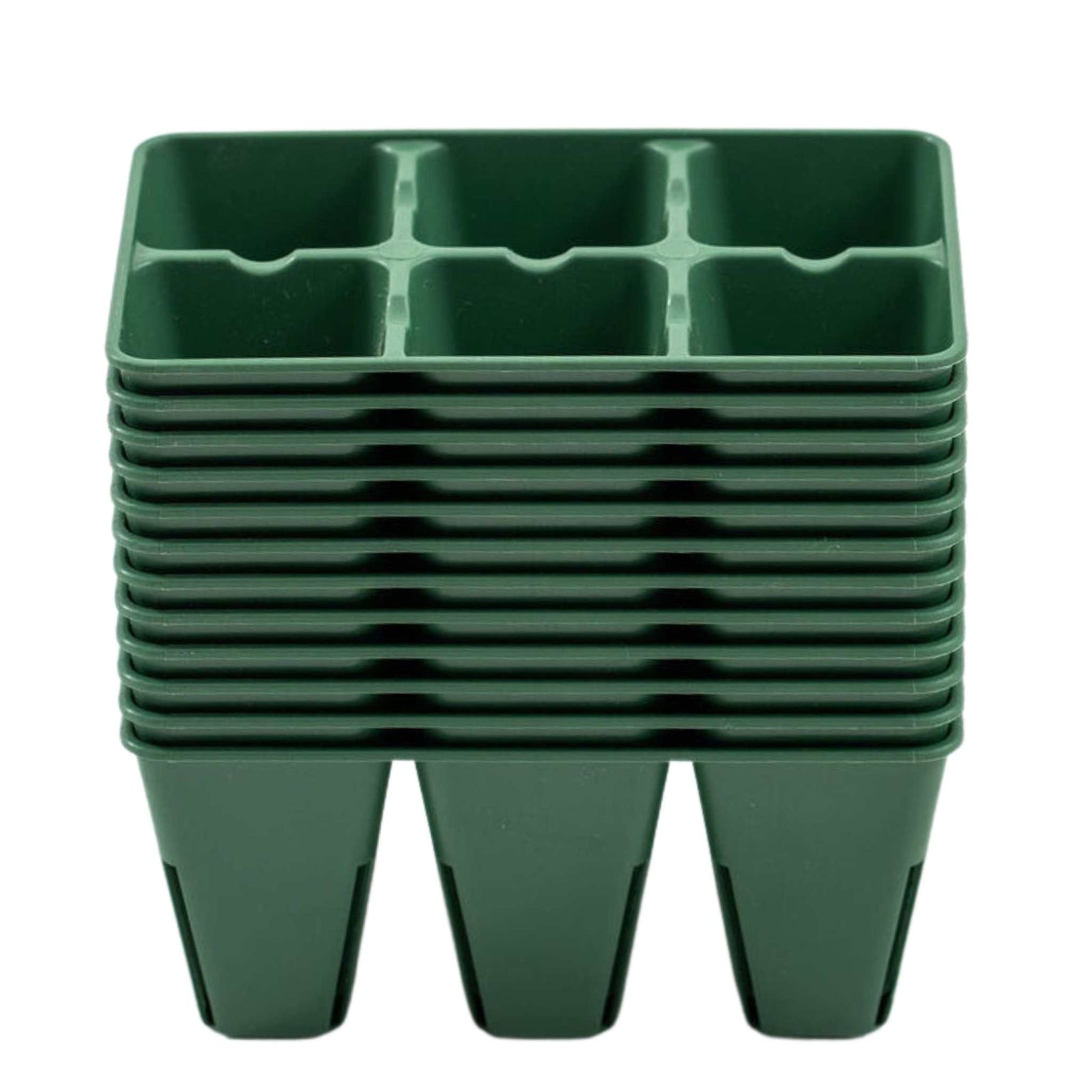 Meadow 6 cell plug trays Whispering Willow Farm Collection