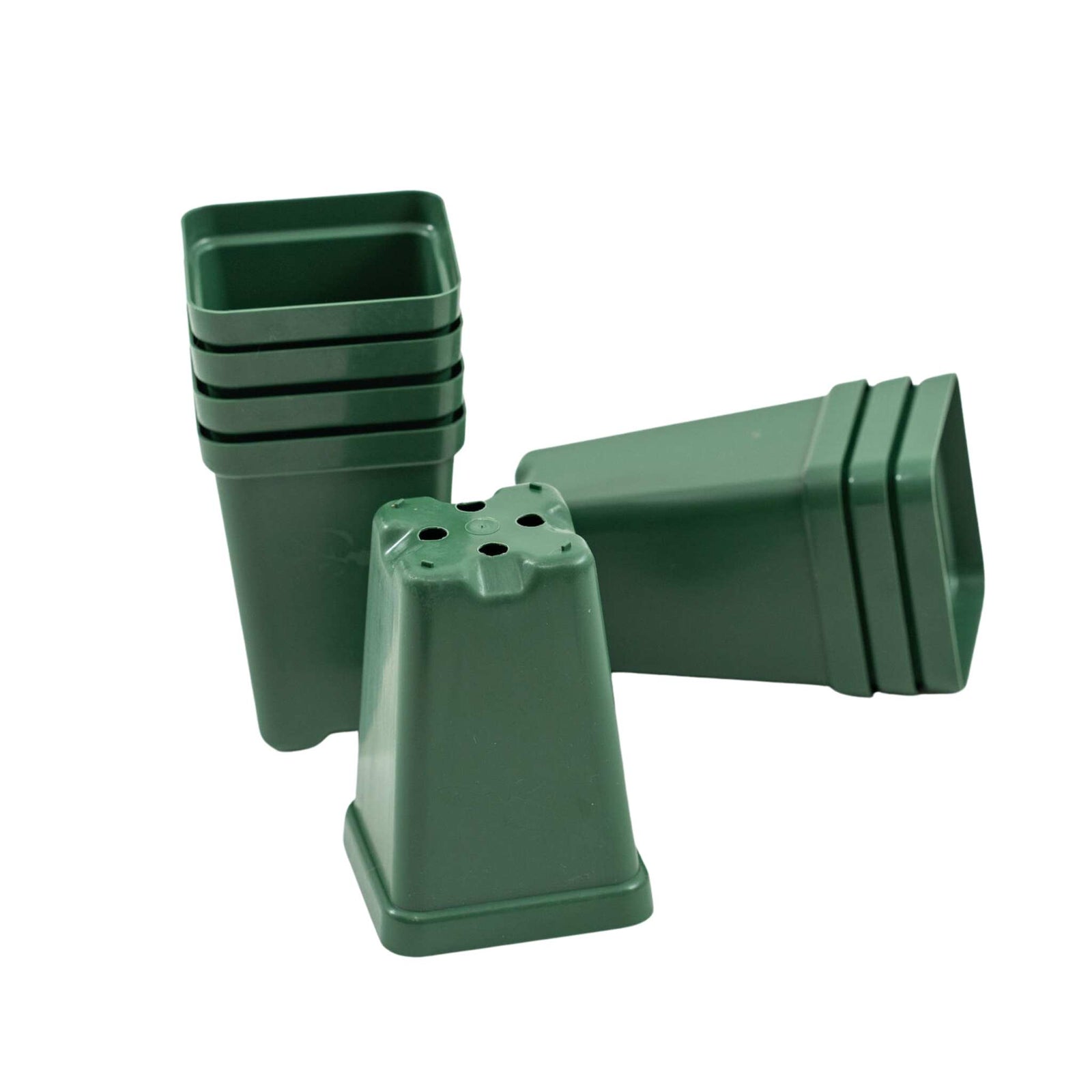 Meadow 2.5 Seed Starting Pot Whispering Willow Collection