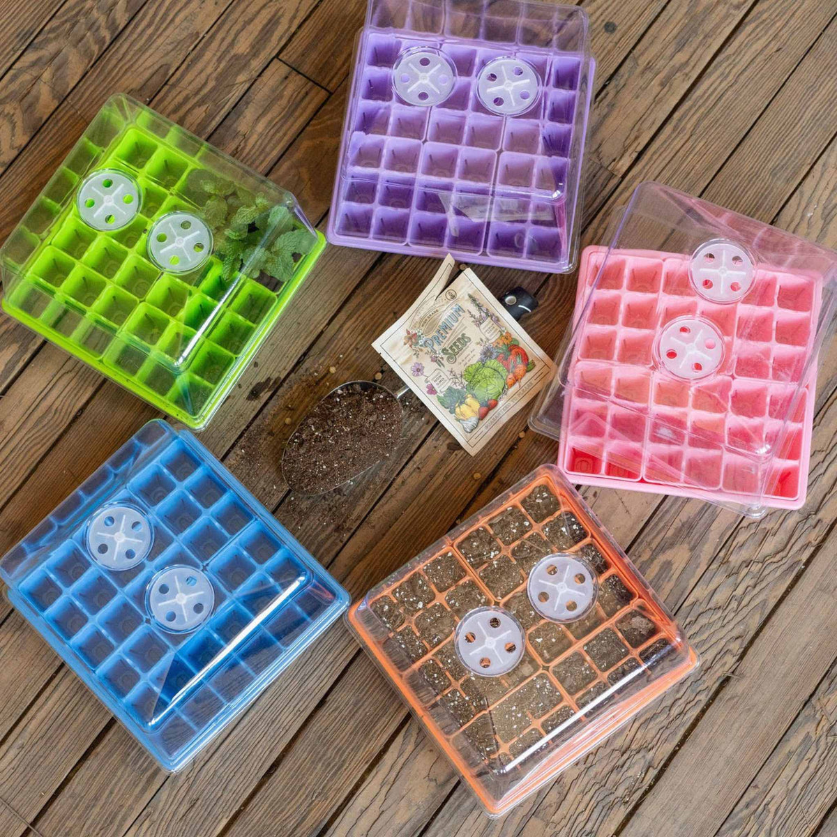 1010 Seed Starting Kits in Purple, Blue, Green, Pink, and Orange